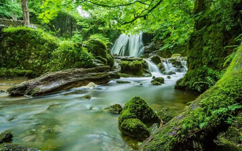创意科技高性能